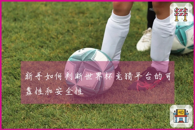 新手如何判断世界杯竞猜平台的可靠性和安全性