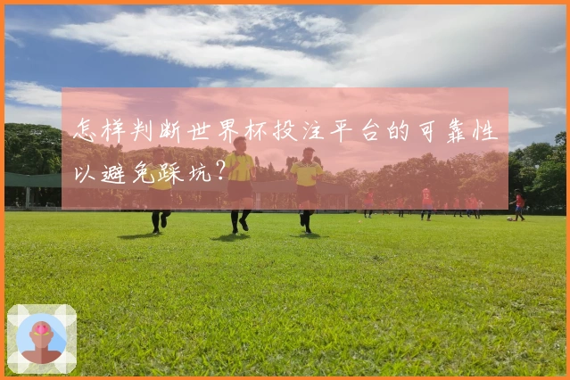 怎样判断世界杯投注平台的可靠性以避免踩坑？