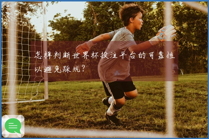 怎样判断世界杯投注平台的可靠性以避免踩坑？